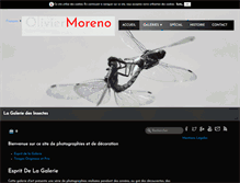 Tablet Screenshot of galerie-photo-nature.com